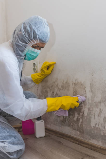 Best Indoor Air Quality Assessment  in Dundee, FL