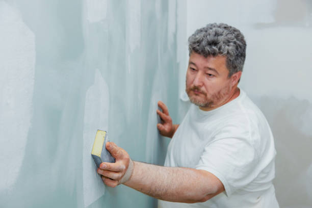 Trusted Dundee, FL Mold Removal Experts
